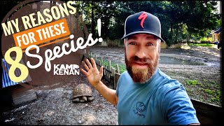 This is why we keep 8 tortoise species at Kamp!