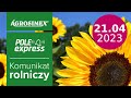 Uprawa słonecznika - nawożenie i ochrona - POLE express | Agrosimex