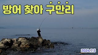 [라이트쇼어지깅]  방어 찾아 