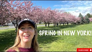 New York - Parks, Cherry Blossom, Manicure, Shopping At TJ Maxx \u0026 McDonalds Taste Testing!