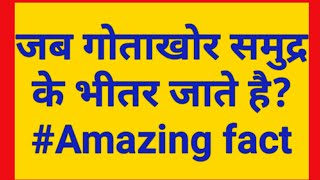 जब गोताखोर समुद्र के भीतर जाते है? #when diver goes in sea #amazing science