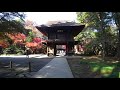 平林寺紅葉　2017年11月17日