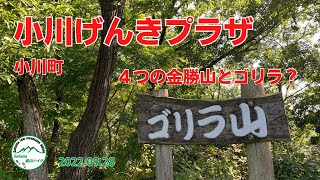 小川町　小川げんきプラザ周辺の山歩きで４つの金勝山とゴリラ？