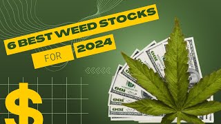 7 Best Cheap Marijuana Stocks For 2024