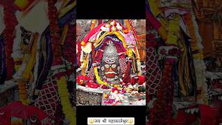 भस्मआरती दर्शन 06-01-2025 सोमवार महाकाल मंदिर उज्जैन #ujjain #mahakal #mahadev #bhasmaartiujjain