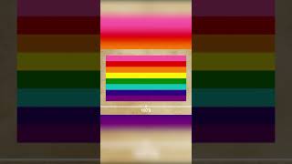 History of the LGBT+ Pride Flag: The Pink Stripe - ITC #Shorts - Gay TikTok