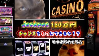 Chaos Unleashed: My Wild Ride on Cat Casino Slots!