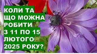 Коли та що робити з 11 по 15 лютого 2025 року?