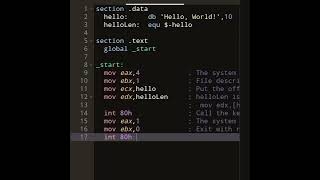 Hello world In Assembly. #programming #code #assembly #music #shorts #java #python