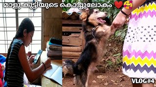 മാളു കുട്ടിയുടെ pets🥰vlog#4