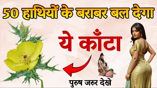 ये पौधा आपको 60 में भी शक्ति प्रदान करता हैं | Plant Benefits | vastu tips | Vedic Drishti