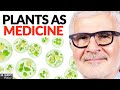 How To Use MICROALGAE To Support Your Energy, Focus & Skin Health! | Dr. Steven Gundry