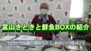 富山きときと鮮魚BOX