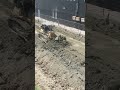 Wonderful! Komatsu Dozer Pushing Soil With Technique Skills #Short