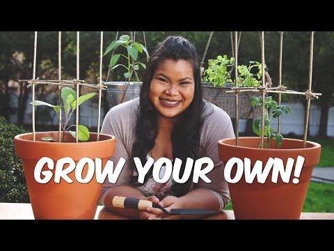 DIY Vegetable Container Garden DIY Vegetable Container Garden