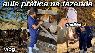 um dia comigo | aula prática (MedVet) ✨🐄