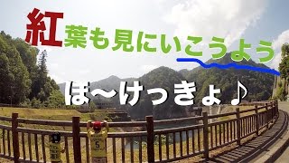 豊平峡ダムに行って豊平峡温泉で湯につかり、カレーを食べて来ました。