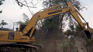 จัดเต็ม komatsu pc210-10mo  งานเคลียริ่งต้นไม้ วัชพืช แกะมาได้ 90.ชม. excavator EP.8255