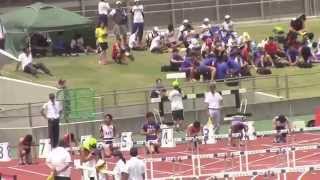 2014関東高校陸上　北関東男子110mH 準決勝1組