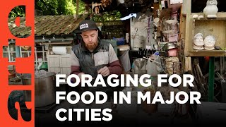 Urban Foraging | ARTE.tv Documentary