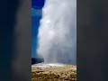 old faithful geyser in yellowstone national park shorts