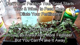 When \u0026 How to Perfectly Fertilize Your Seed Starts: Caution - Don't Over Love \u0026 Feed Them to Death!