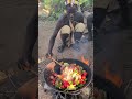 husband and wife cooking traditional food middle of nowhere ‼️😋😲 hadzabetribe food villagelife