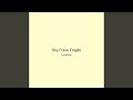 Sky Pulse Fragile