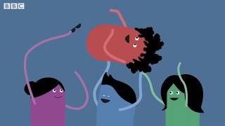 Managing your emotions – BBC Bitesize Key Stage 3 Learning for Life and Work