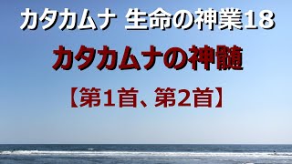 【カタカムナ 生命の神業18 カタカムナの神髄】命、生命とは何か、どのようにしてできるのか？カタカムナの神髄、潜象物理。潜象から現象への移り変わりを解く第1首と第2首です。yukari radio44