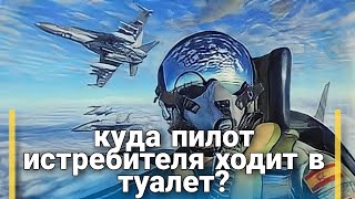 Куда пилоты истребителей ходят в туалет?