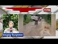 roads were washed away due to continuous heavy rainfall in malkangiri and koraput kalingatv