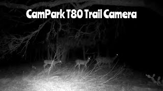 CamPark T80 Trail Camera Oct. 21-31, 2024