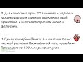 Стоит в каждом доме без дела Самый мощный домашний цветок для сердца горла …