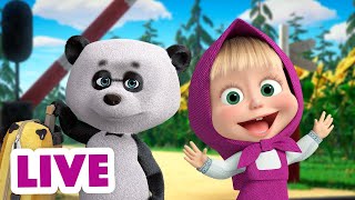 🔴 LIVE! 瑪莎與熊 - 😲 驚喜 🤨 | Masha and The Bear