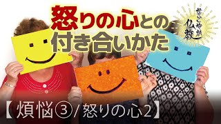 《煩悩4》怒りの原因とは？怒りの心をプラスに活用するヒントがあります【なごやか仏教39】