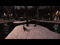 ankara kugulu park dance of the swans cinematic atmosphere 4k