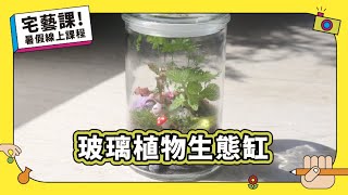 玻璃植物生態缸｜宅藝課-線上才藝課程