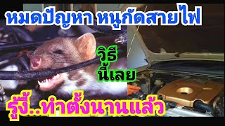 วิธีป้องกันหนูเข้ามา\