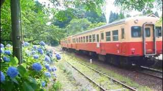 月崎駅を出て行く小湊鐵道