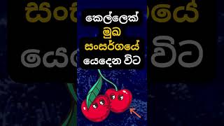 ඔයත් මේ දේ කරලා තියෙනවද? 🥰. #psychology  #education #shorts