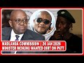 Witness E Concludes “Mchunu Wanted Me To Testify To Madlanga Commission In A Favourable Way To Him”