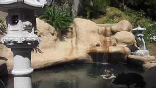 Koi pond construction part 10 - landscaping, stepping stones, adding fish