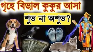 গৃহে বিড়াল কুকুর আসা শুভ না অশুভ? কি বলছে শাস্ত্র?