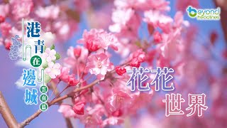 【短片】【港青在邊城】雲南行  第五集：花花世界