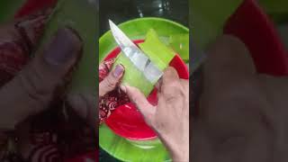 How to make aloe vera gel at home100%pure and fresh