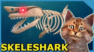 Roblox Sharkbite Videos 9videos Tv - 9videos tv roblox shark bite grcija Roblox Sharkbite Videos 9videos Tv - roblox shark bite grcija