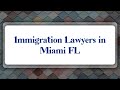 Top 10 Immigration Lawyers in Miami, FL