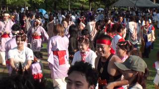 総踊り（Ⅰ）＠2011　あげお元気祭り