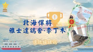 北海悍將 雅士達鴿舍-李丁木先生 NO.3 2022-215089